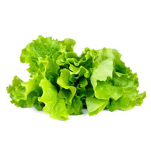 Salat - SmartHave Refill 3 Pak