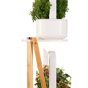Smart Plant Stand